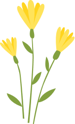shape-image